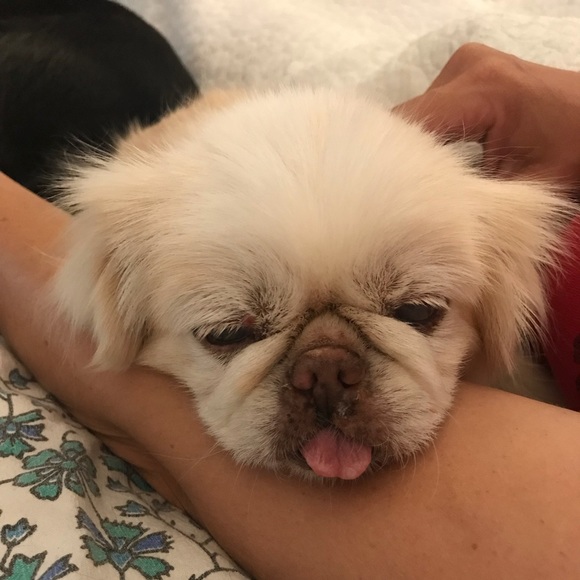 Meet your Posher, Kelly - Picture 1 of 1